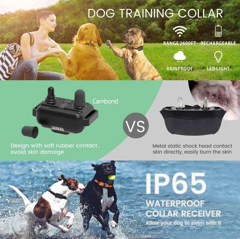 Waterproof Dog Training Collar with Remote, Rechargeable Anti-Bark-For 2 Dogs