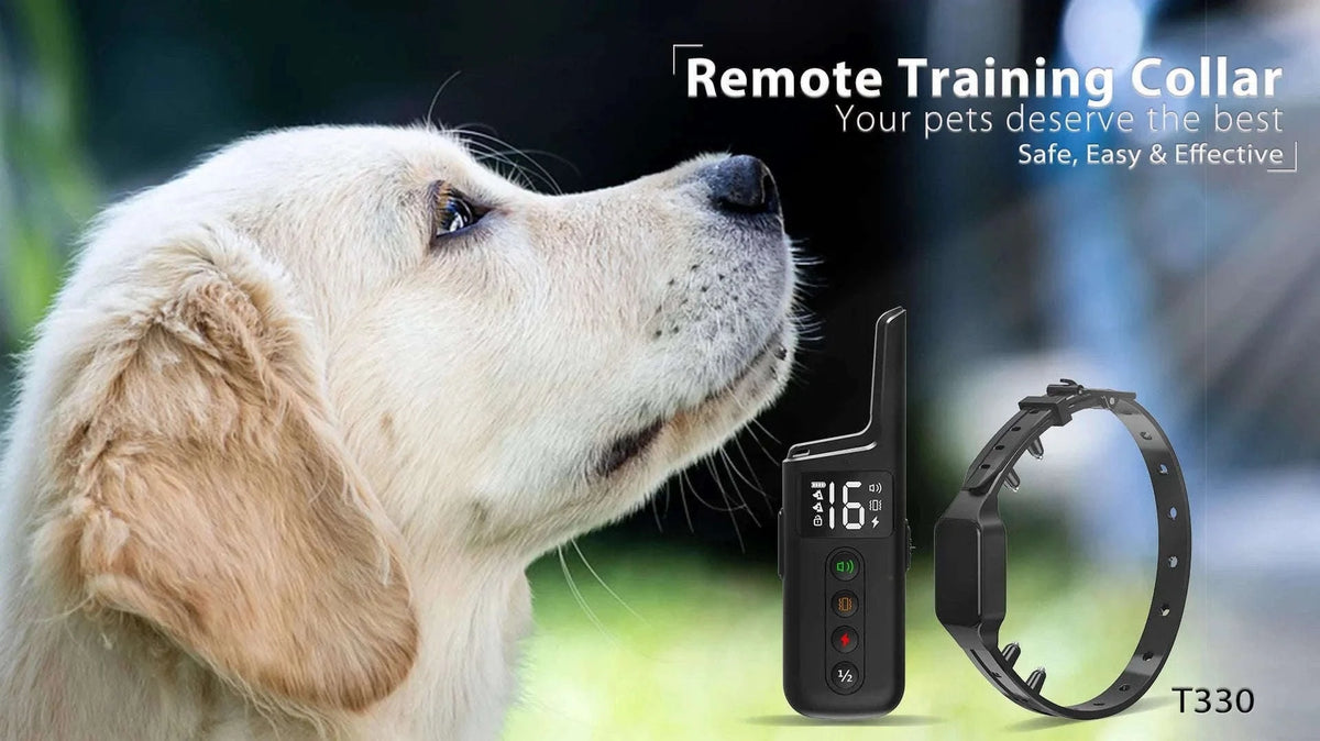 Waterproof Rechargeable Dog Training Collar with 500m Remote Control-black