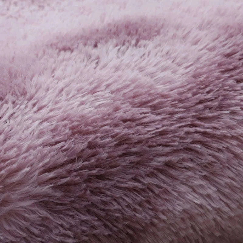 White Fluffy Pink Rug for Soft, Modern Living Room Comfort-Sky Blue / 80x200cm 31x78inch
