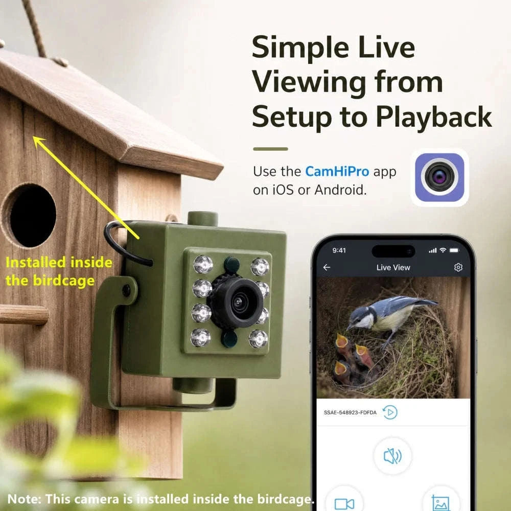 WiFi Bird Box HD Camera Starter Pack 2MP 5MP for Wildlife-2MP WIFI UK KIT
