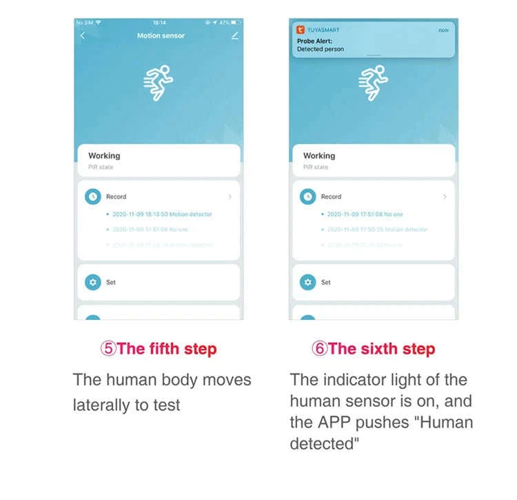 WiFi Smart PIR Motion Sensor-Default Title