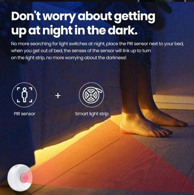 WiFi Smart PIR Motion Sensor-Default Title