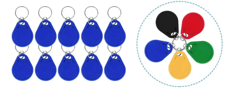 WiFi Tuya RFID Access Controller IP68 S10-with Blue Keys