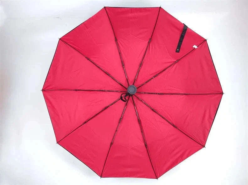 Windproof Automatic Umbrella with One-Touch Open and Close-blue