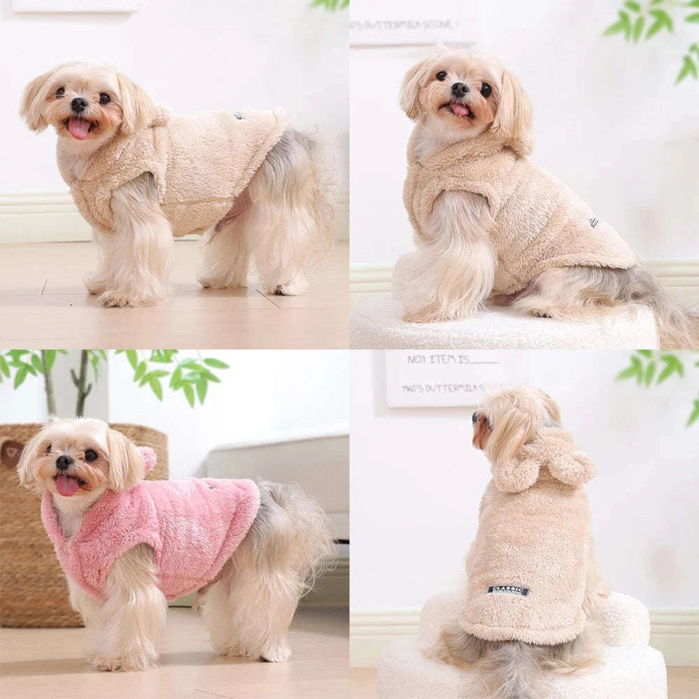 Winter Pet Puppy Hoodie Sweater for Small and Medium Dogs & Cats-Gray / S