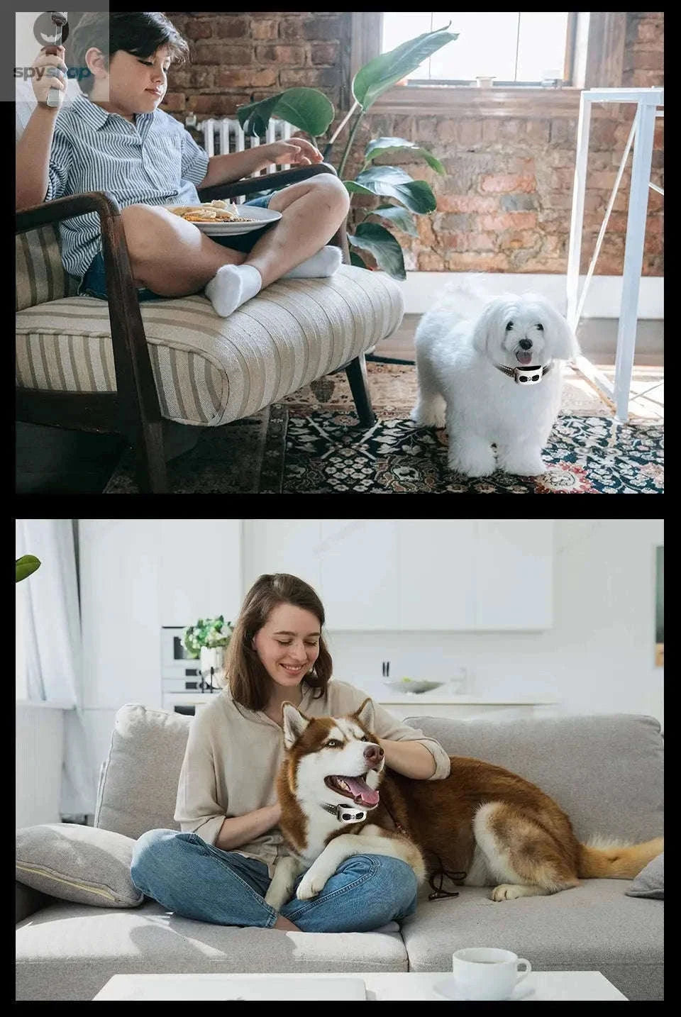 Wireless Dog Fence and Training Collar System with Adjustable Radius-For 2 dogs