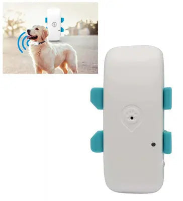 The Evolution of Animal Tracking: From GPS Collars to Advanced Pet Trackers