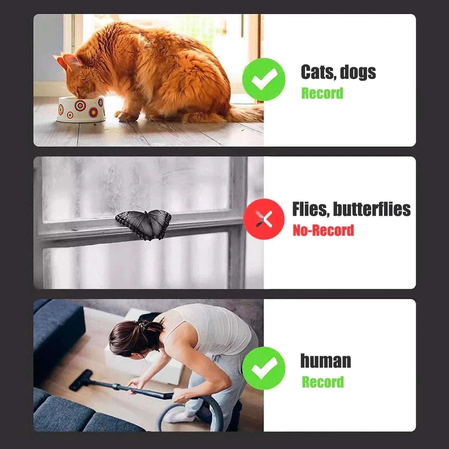 1080P Wireless Mini Security Camera with PIR Motion Detection-64GB