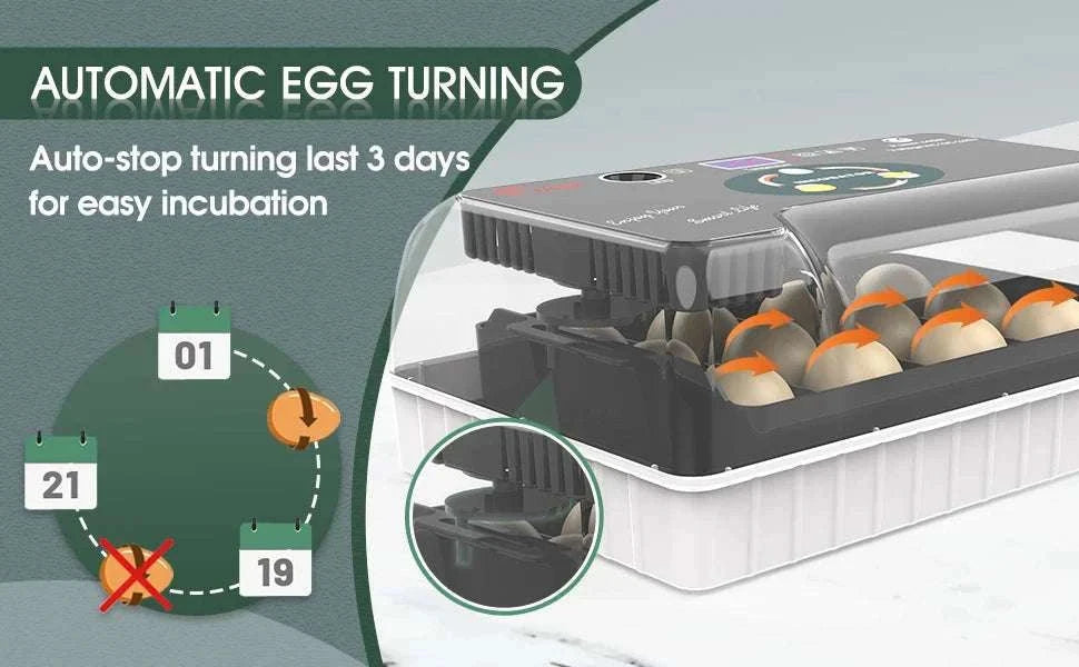12 Egg Incubator with Auto Turning, Temperature Control & Candler-black / United States