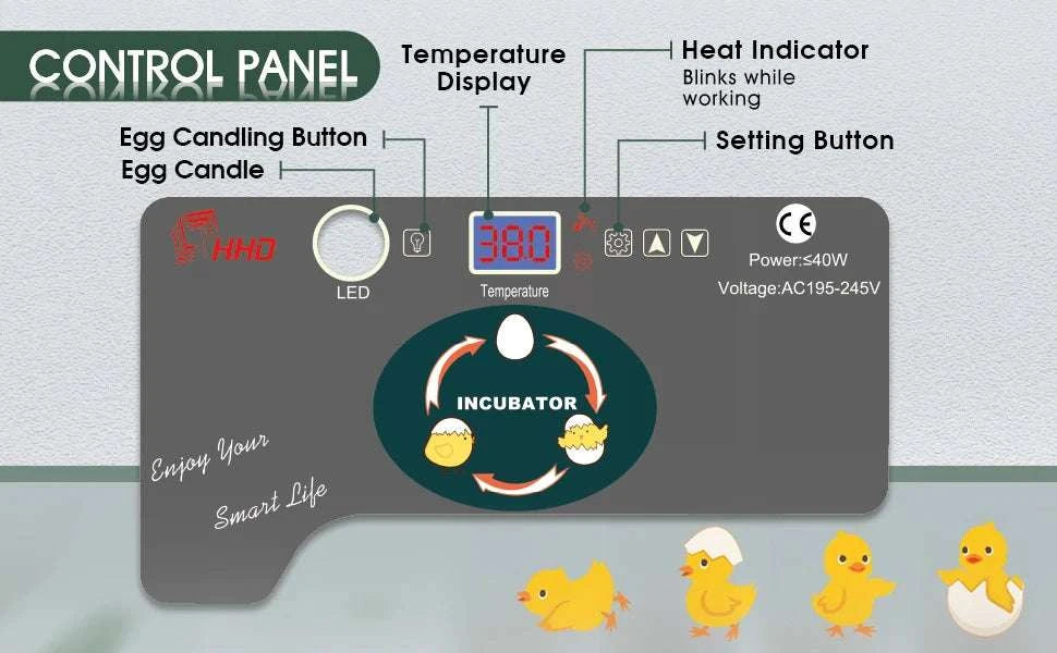 12 Egg Incubator with Auto Turning, Temperature Control & Candler-black / United States