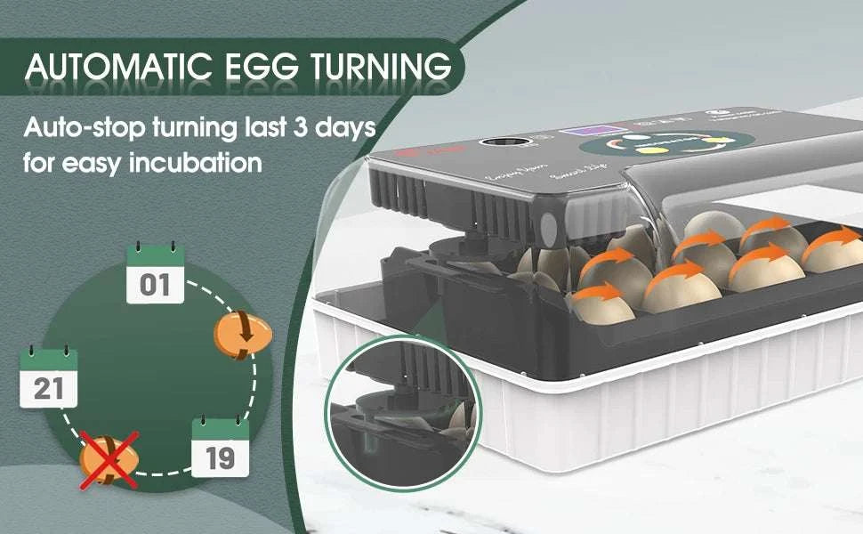 12 Egg Incubator with Auto Turning, Temperature Control & Candler-black / United States