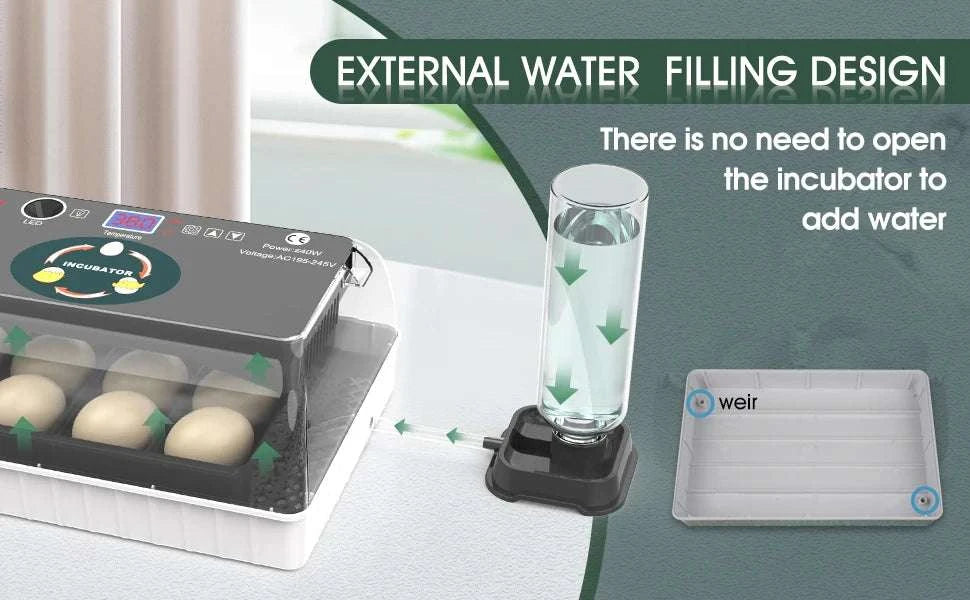 12 Egg Incubator with Auto Turning, Temperature Control & Candler-black / United States