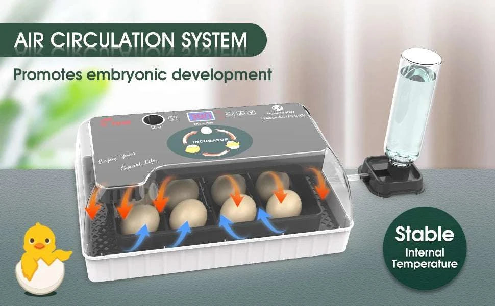 12 Egg Incubator with Auto Turning, Temperature Control & Candler-black / United States