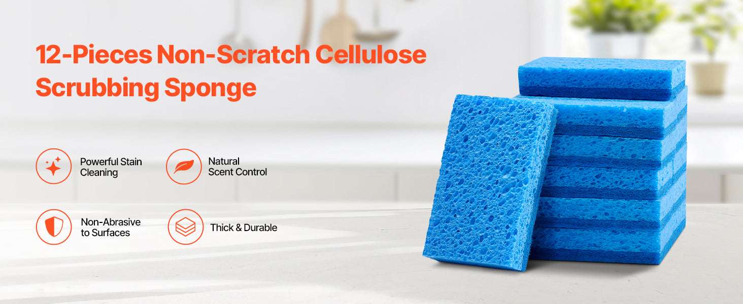 12pcs Natural Kitchen Sponges with Honeycomb Absorption Design-12 Pieces / United States