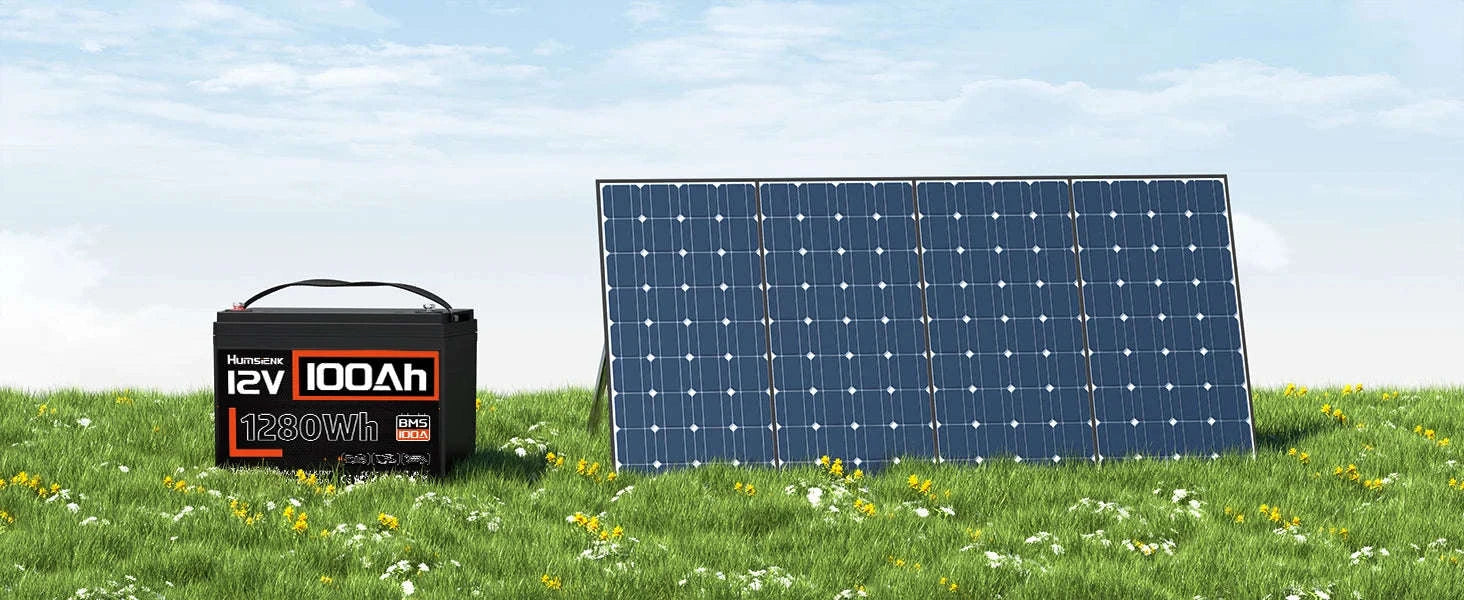 12V 100Ah LiFePO4 Battery with 100A BMS and Low-Temp Protection-12V 100AH / Poland