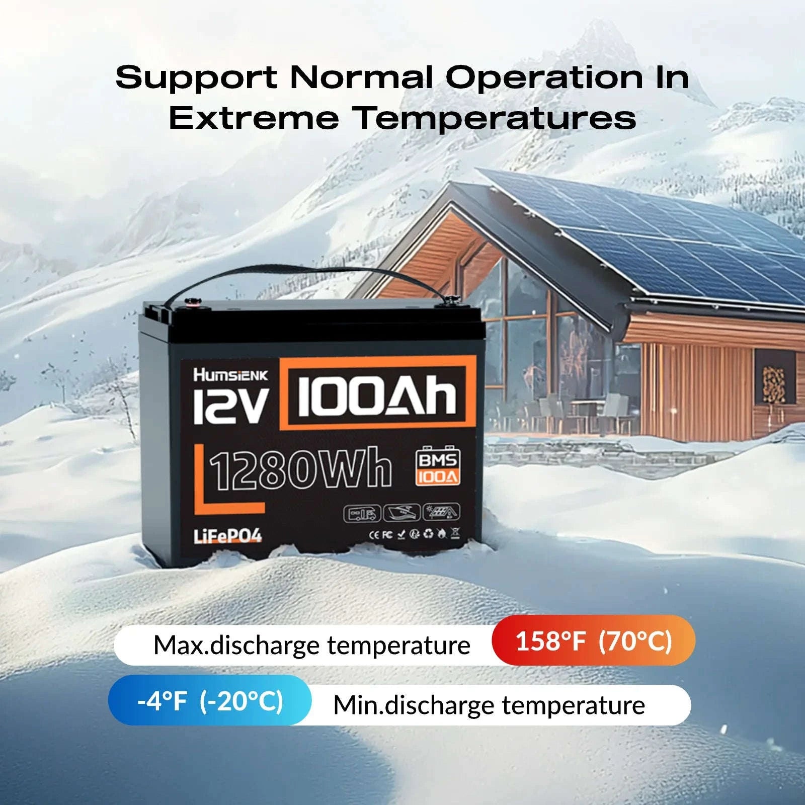 12V 100Ah LiFePO4 Battery with 100A BMS and Low-Temp Protection-12V 100AH / Poland