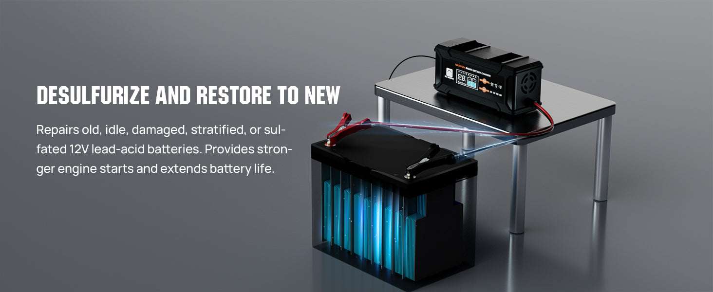 12V/24V Smart Battery Charger 20A with Auto Detection & Modes-black / United States