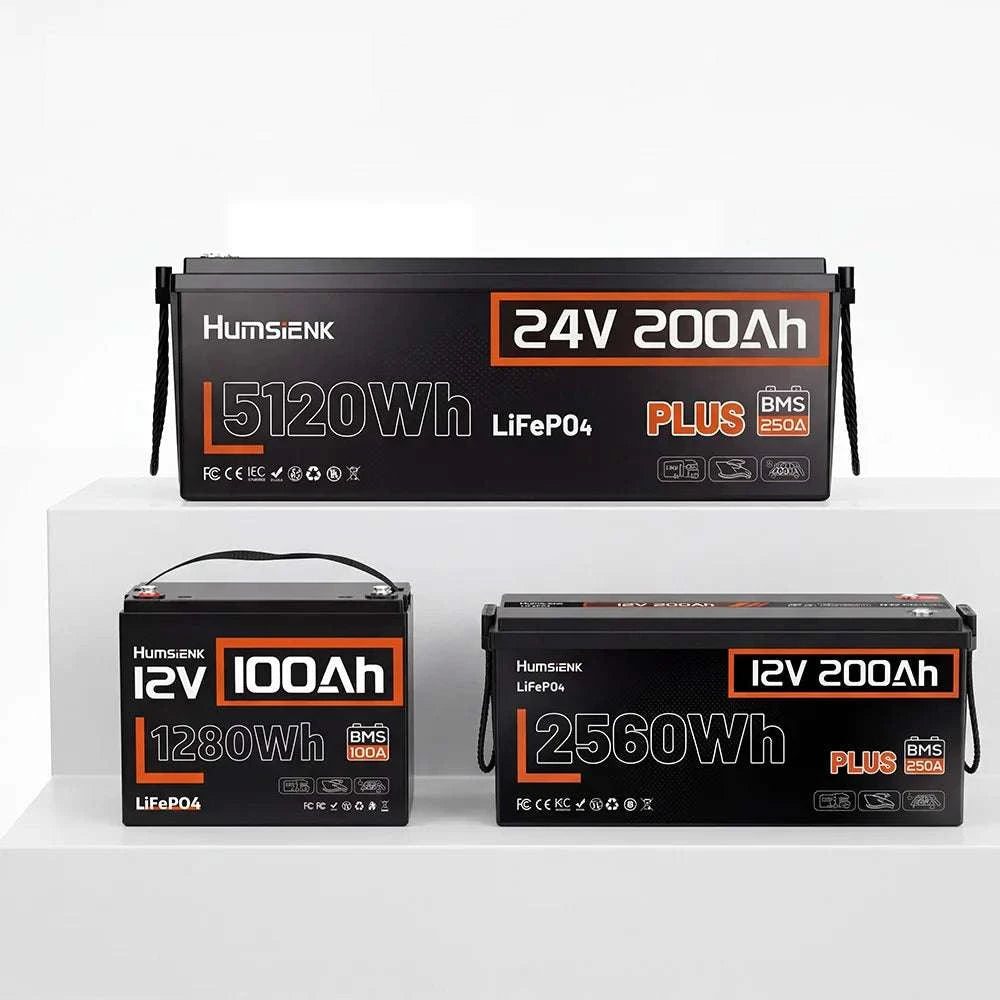 12V LiFePO4 Battery with BMS 100Ah 200Ah Deep Cycle Power-12V 100AH / United States