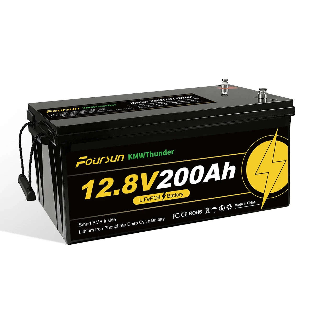 12V LiFePO4 Deep Cycle Battery with Low-Temp BMS Protection-12V100Ah / Poland