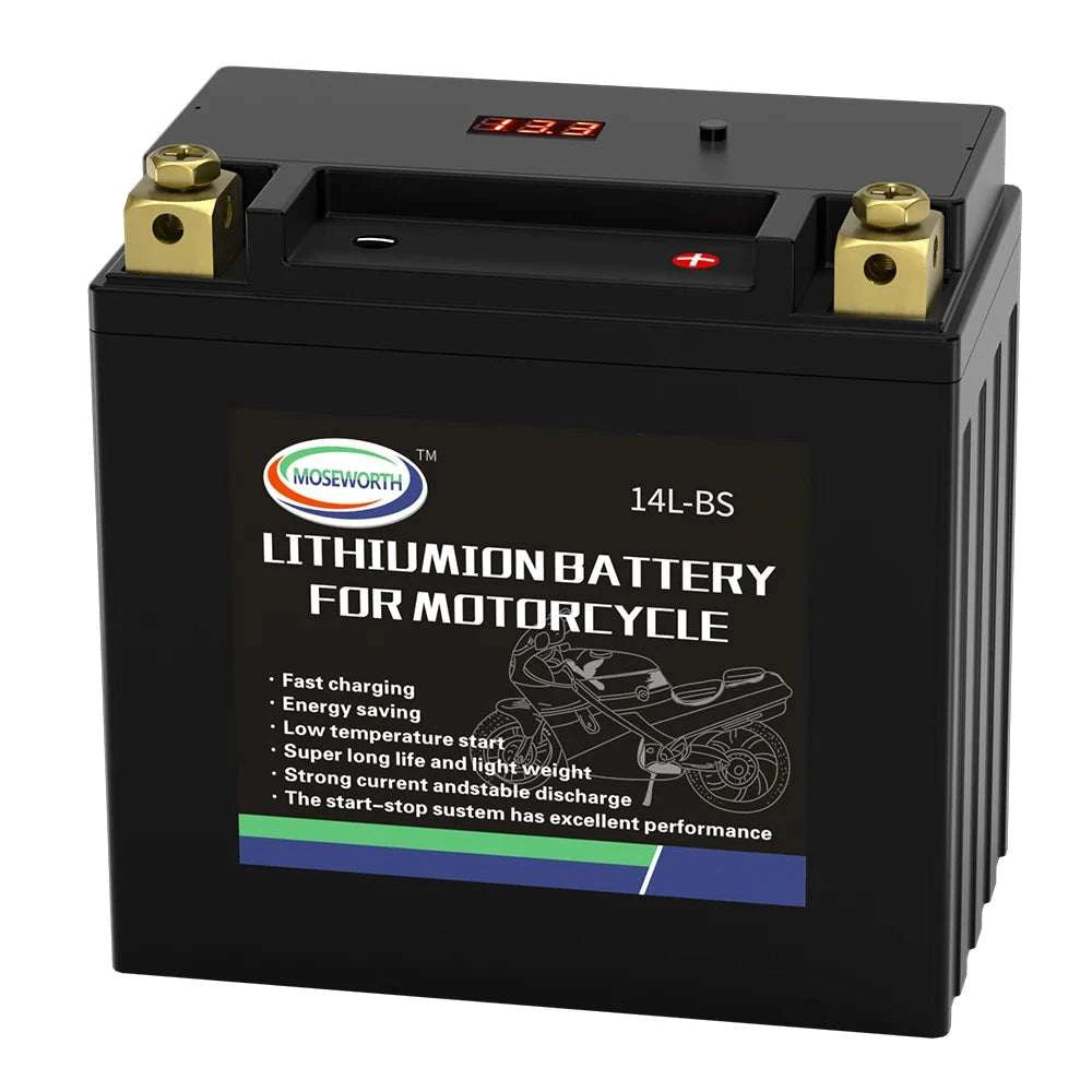 12V LiFePO4 Motorcycle Battery 4L-BS 160CCA with BMS-7A-BS N-P andcharger / GERMANY