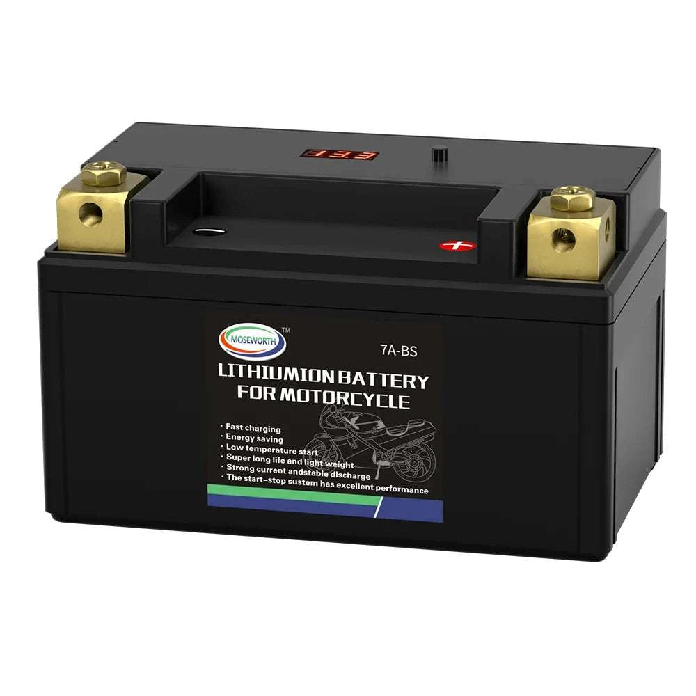 12V LiFePO4 Motorcycle Battery 4L-BS 160CCA with BMS-7A-BS N-P andcharger / GERMANY