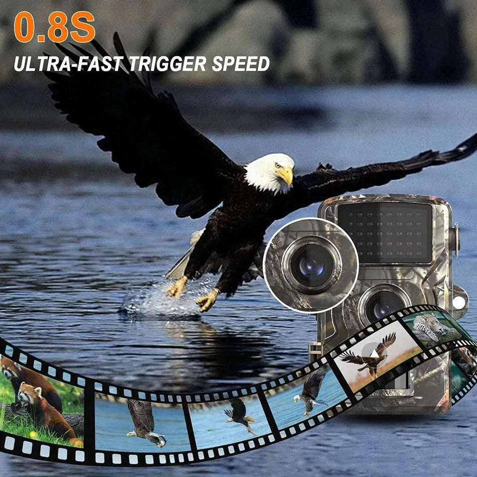 16MP 1080P Infrared Trail Camera for Wildlife Monitoring-NO Card / China Mainland