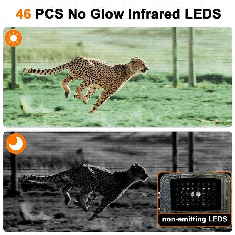 16MP 1080P Trail Camera with 940nm Night Vision and 32G Storage-NO Card / China Mainland