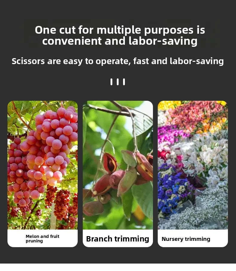 190mm Straight Head Pruning Shears – Stainless Steel Trimming Tool for Bonsai-JIAN002-Green