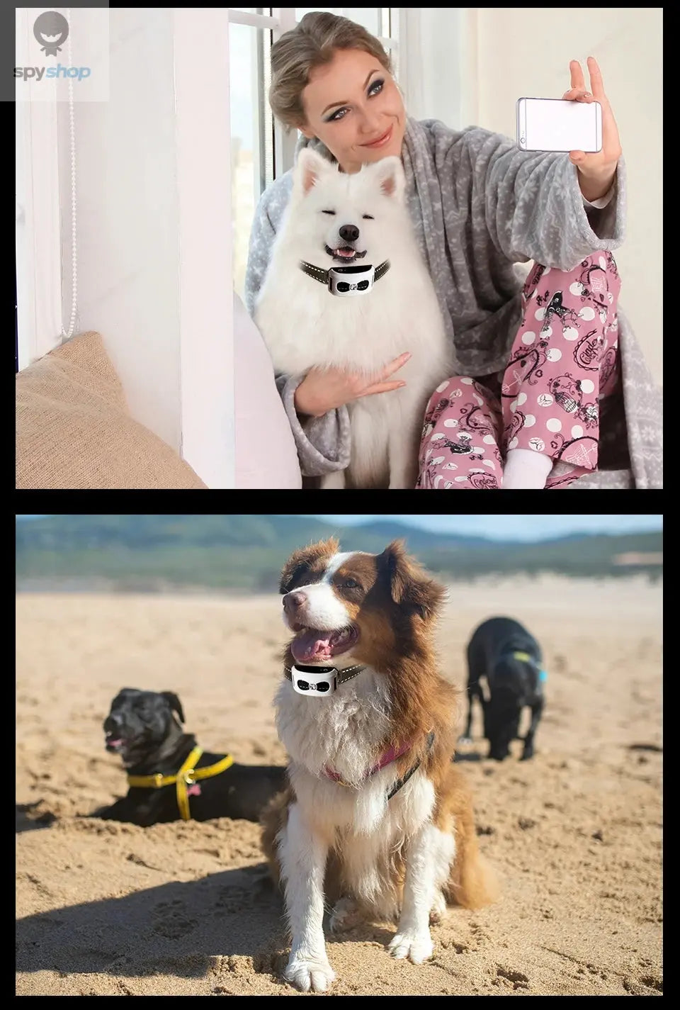 2 In 1 Electric Pet Wireless Fence Dog Training Collar Anti Runaway Up to 3 Dogs Outdoor Pet Containment Rechargeable System Spy-shop.com