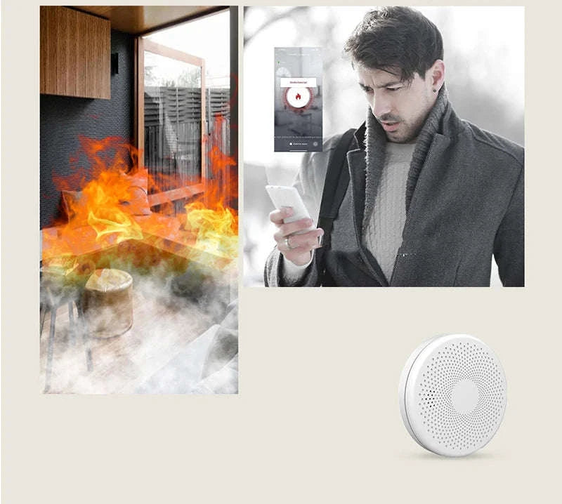 2‑in‑1 WiFi Tuya Smart CO & Smoke Detector Alarm-CS01W WiFi Function