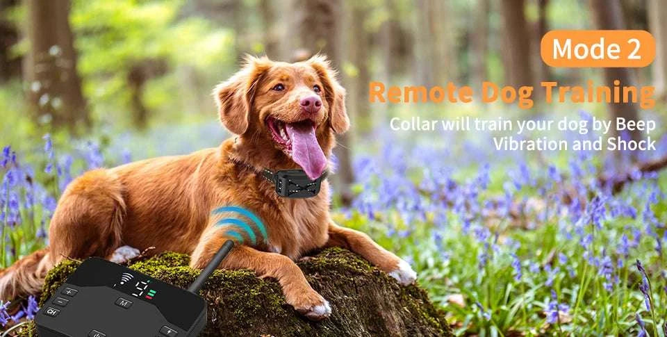 2-in-1 Wireless Dog Fence & Training Collar with Remote Control-For 3 Dogs