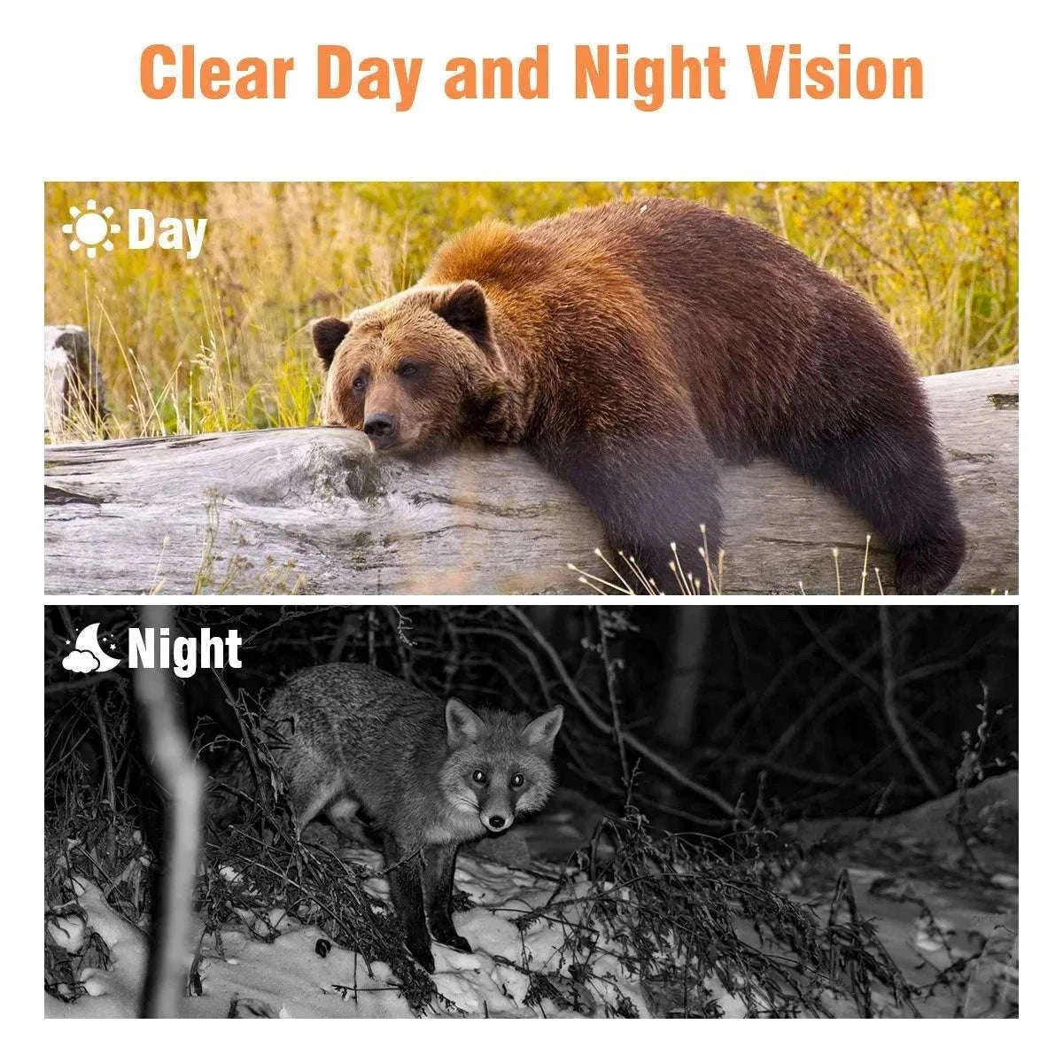 2-Pack Mini Hunting Camera with Night Vision-Default Title