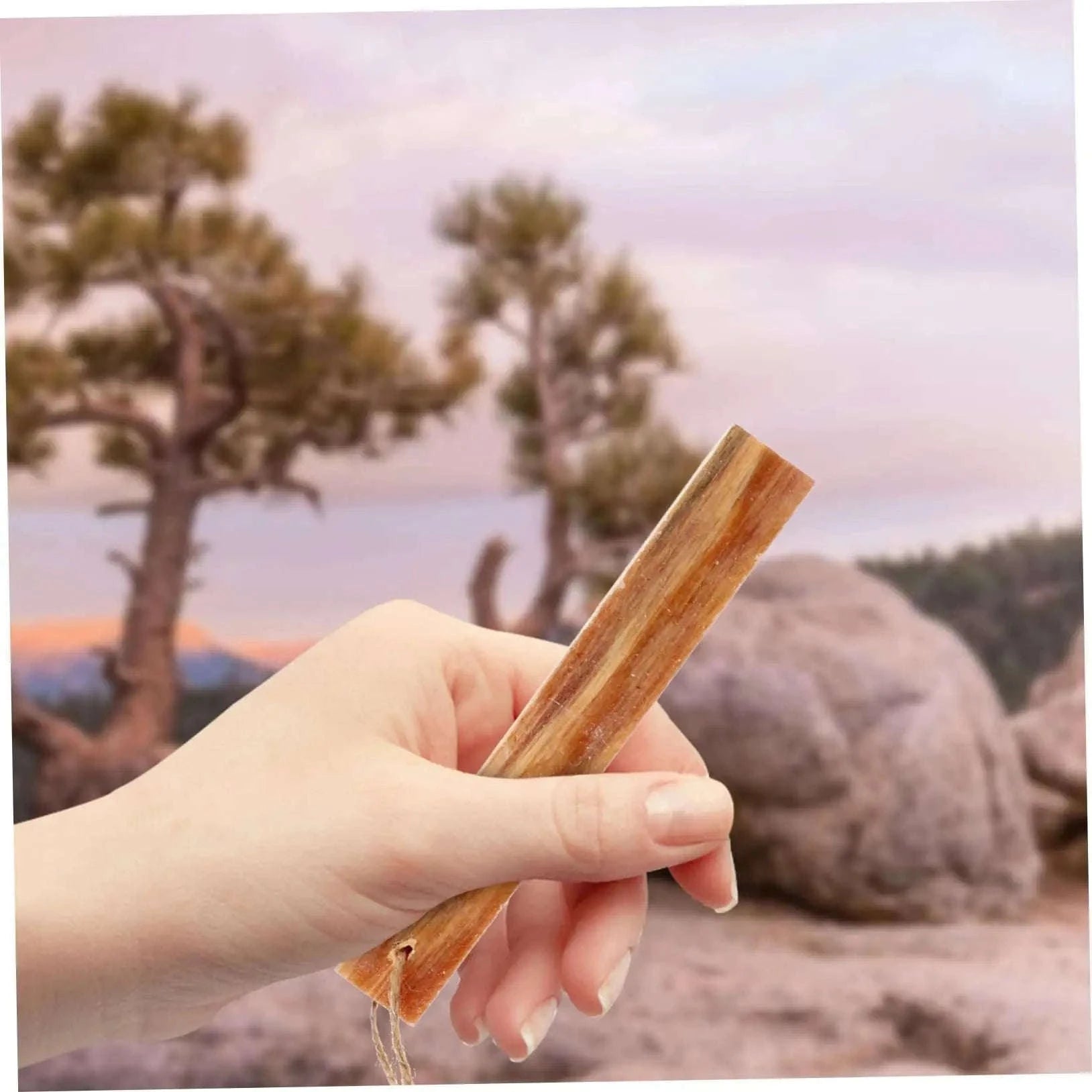 2-Piece Pure Natural Pine Wood Fire Starter Matches-2 Pcs