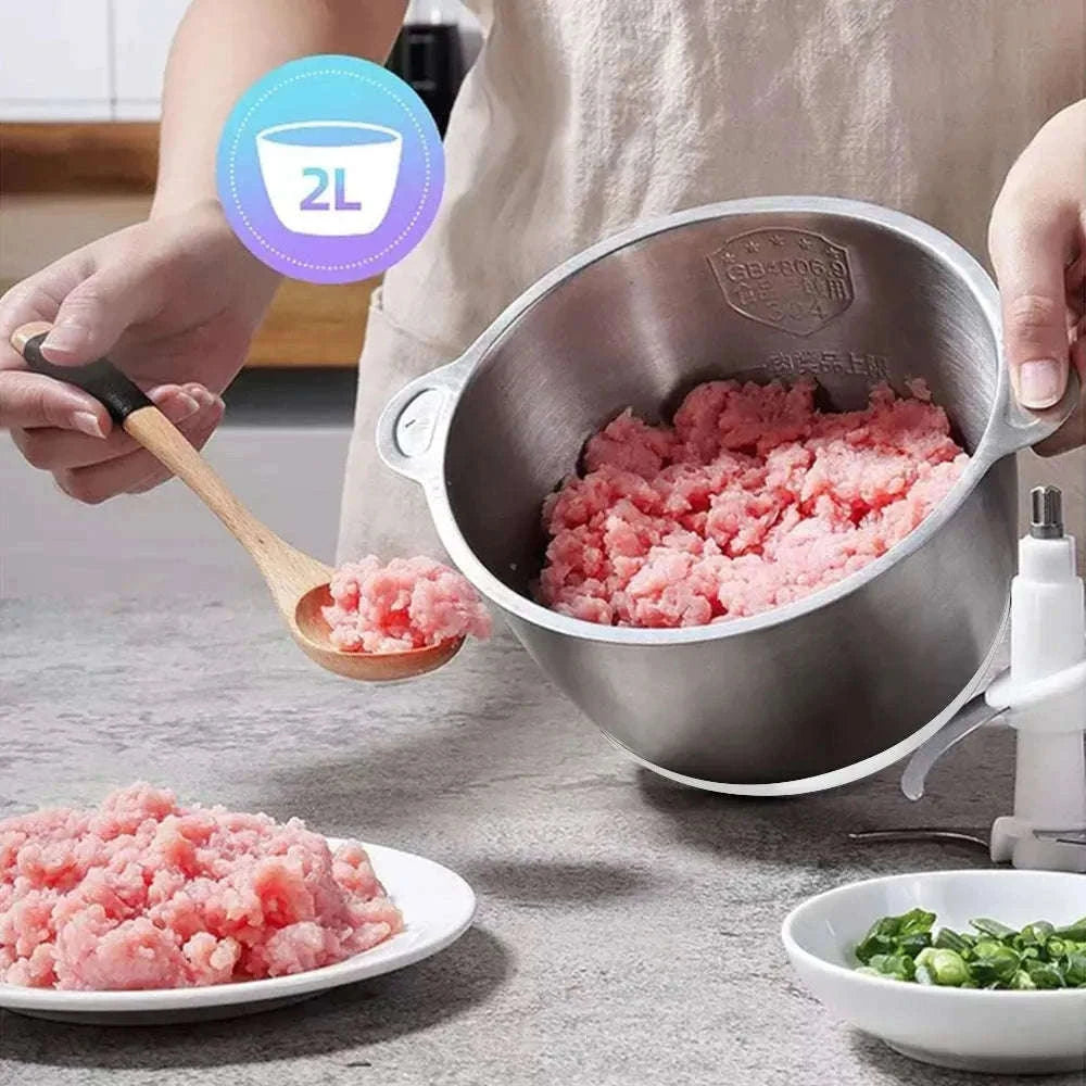 2-Speed 500W Stainless Steel 2L Electric Chopper-Standard Extra Knife / 110 V / United States|US