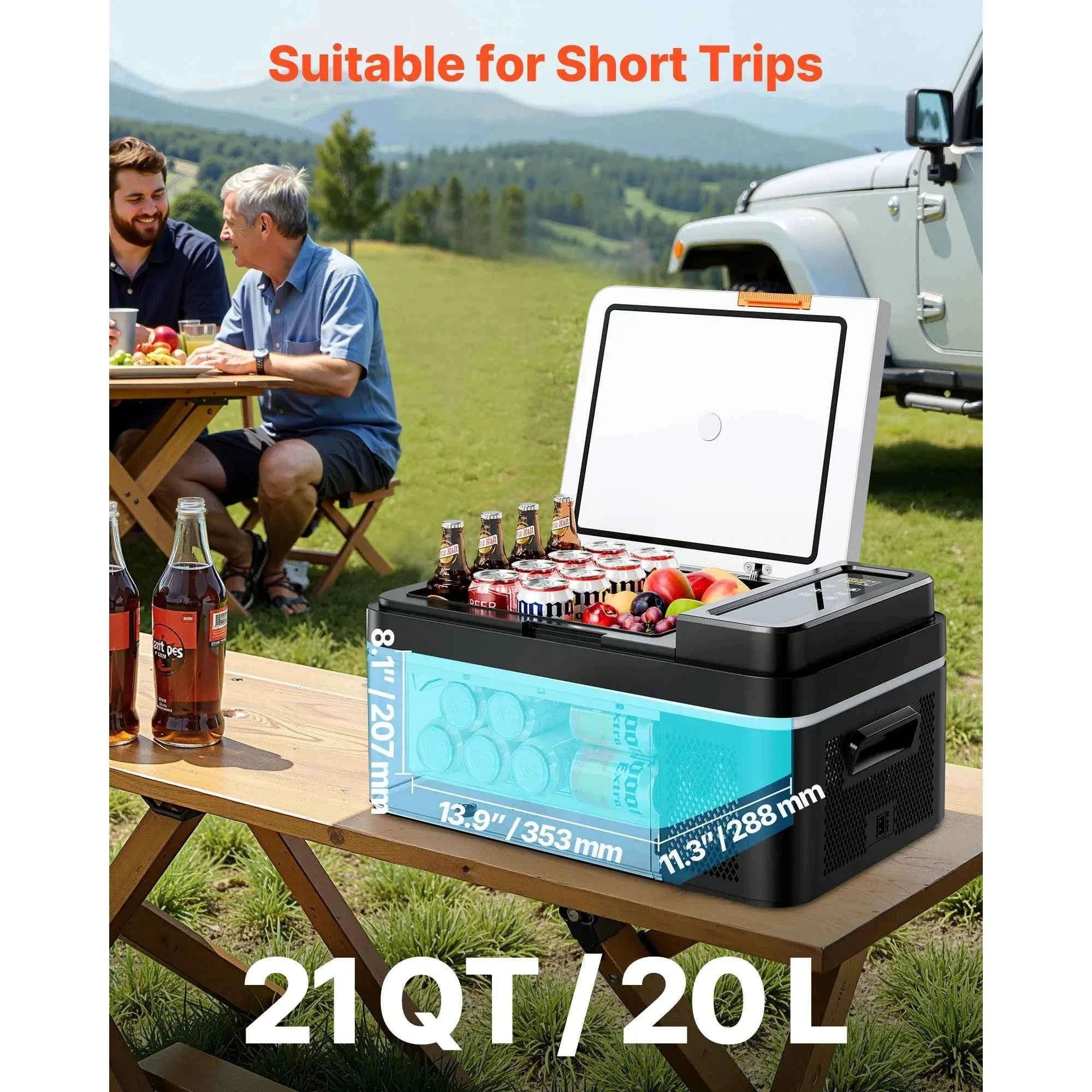 20L Portable Refrigerator Freezer with 12/24V DC and 100-240V AC-Poland
