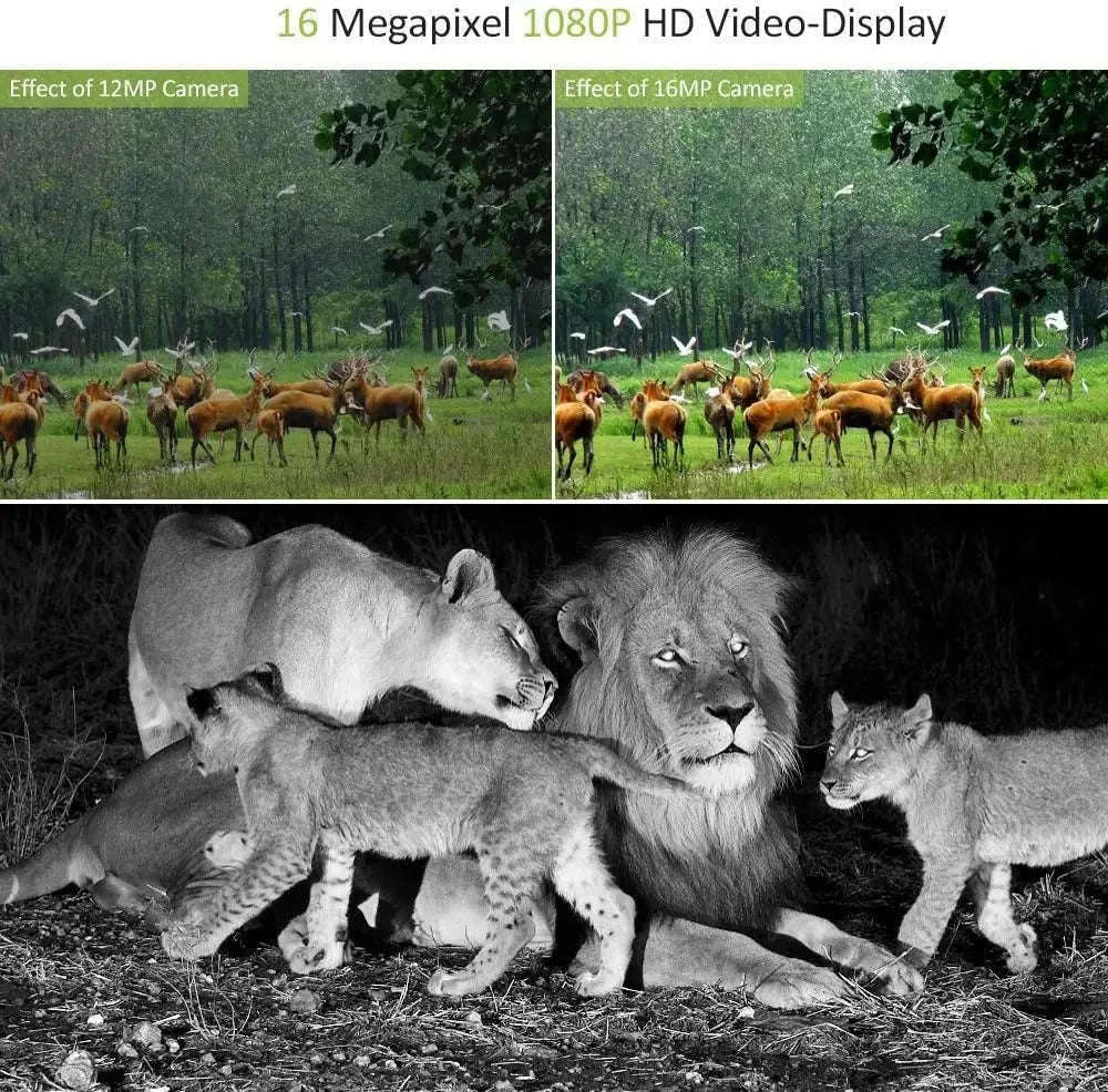 20MP 1080P Trail Camera with Night Vision and IP65 Water Resistance-Default Title