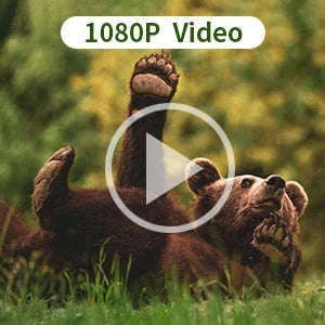 20MP 1080P Trail Camera with Night Vision and IP66 Waterproof-Default Title