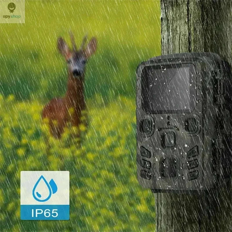 20MP Night Vision Trail Camera for Wildlife Monitoring-WIFI301