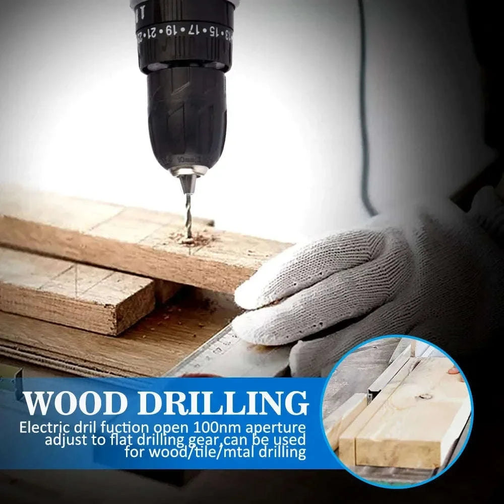 21V Cordless Impact Drill and Electric Screwdriver-2 Battery PlasticBox / GERMANY