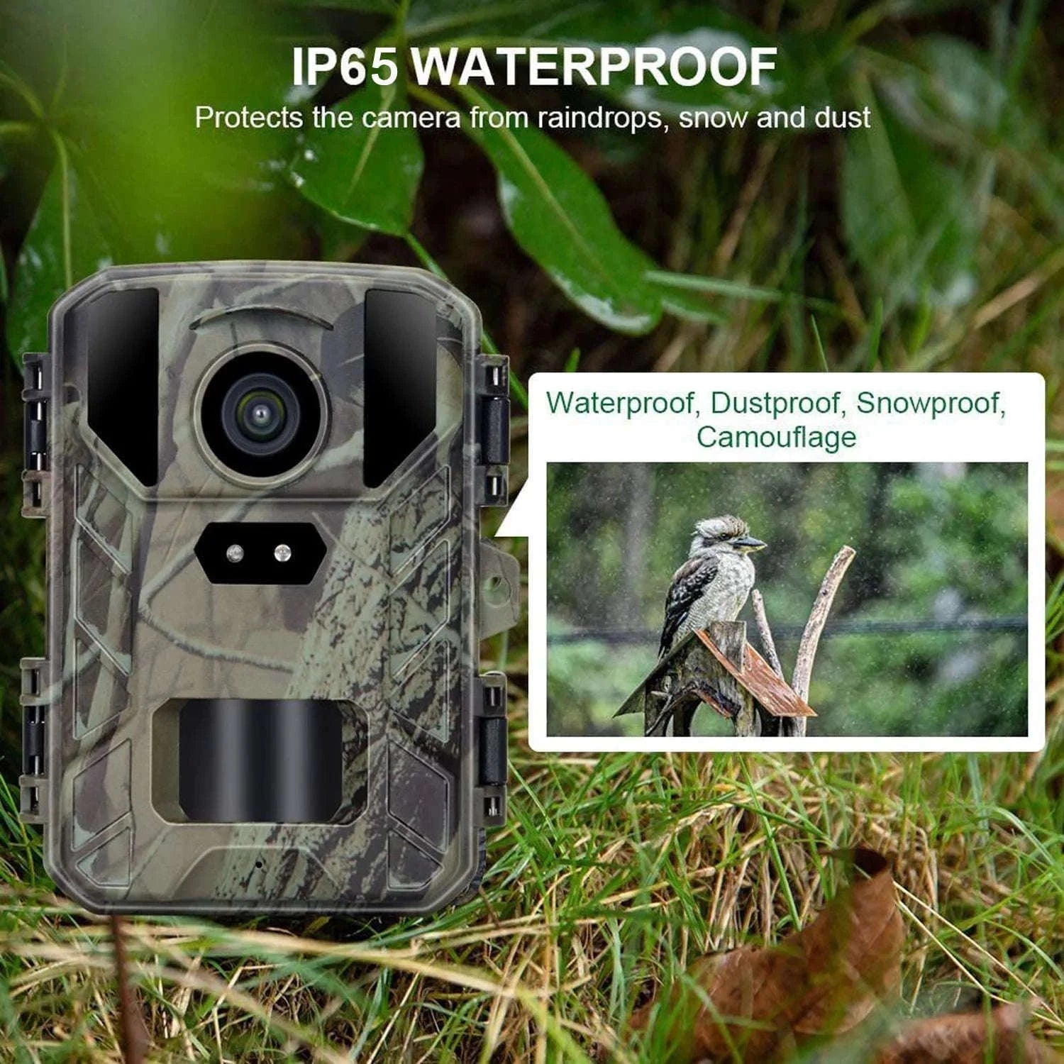 24MP Trail Camera with 1080P Video, Night Vision, IP65-4PCS-MINI800 / China Mainland