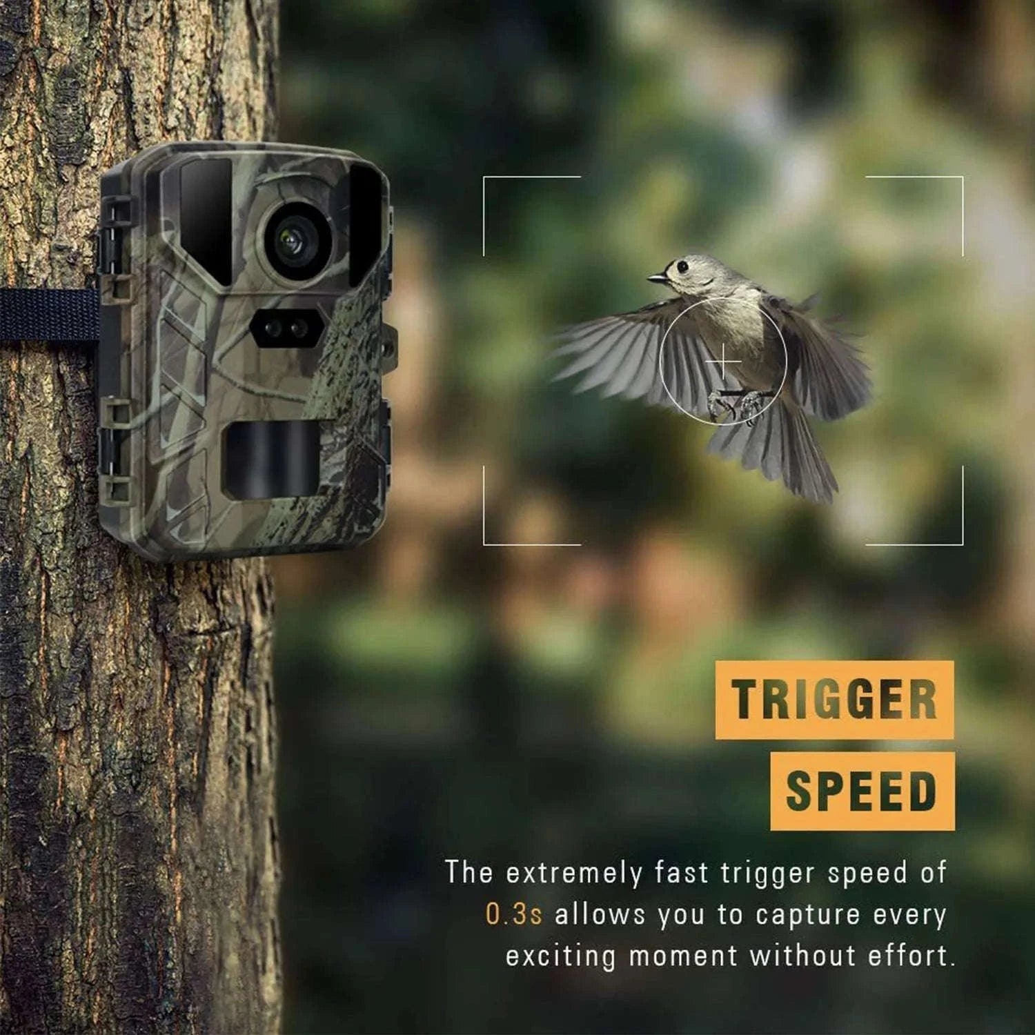 24MP Trail Camera with 1080P Video, Night Vision, IP65-4PCS-MINI800 / China Mainland