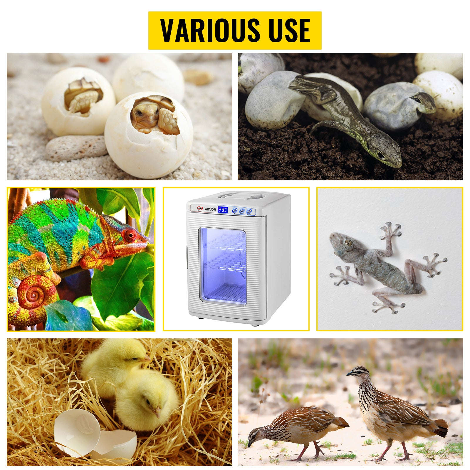 25 L Reptile Incubator Automatic Egg Breeding Hatchery-25L White / United States