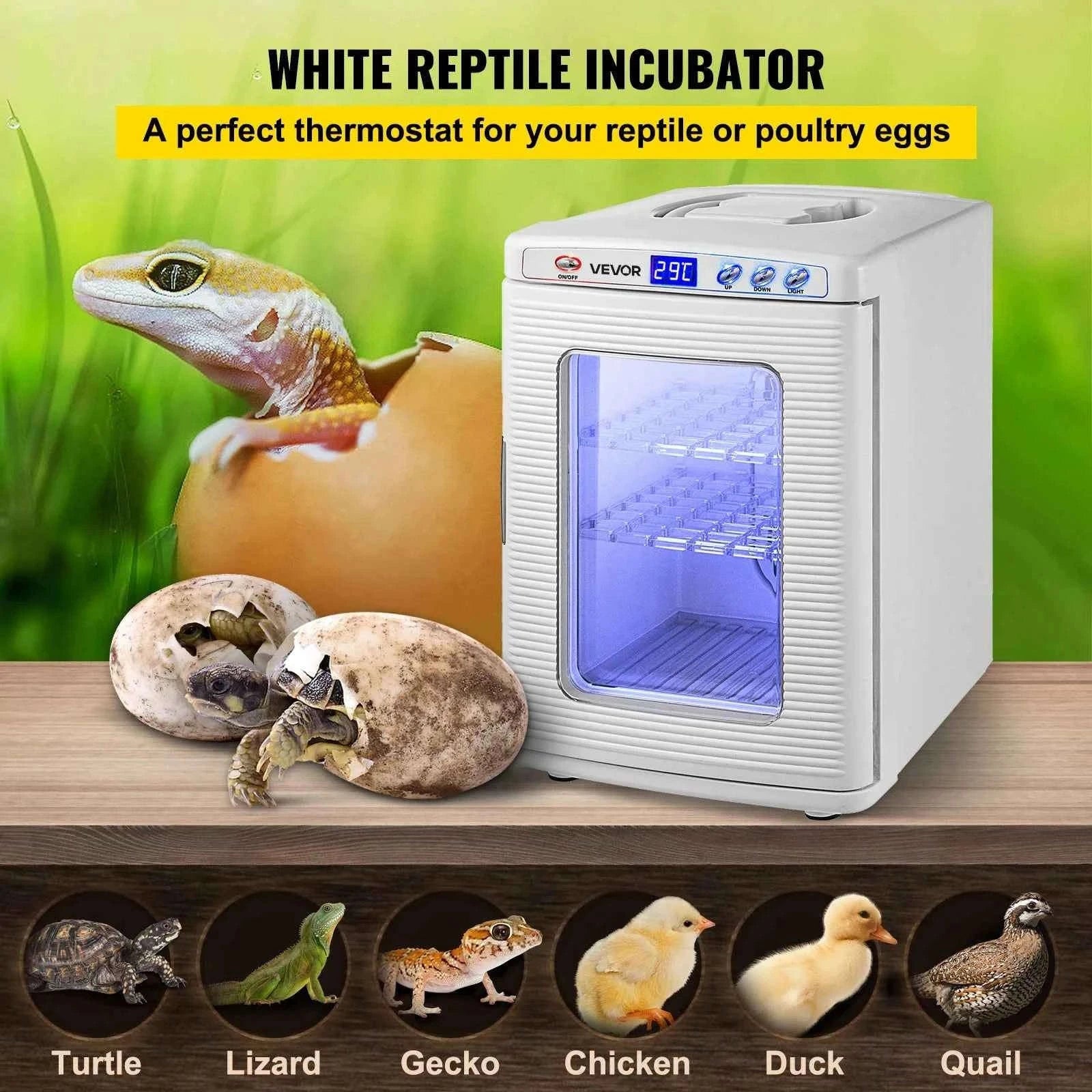 25 L Reptile Incubator Automatic Egg Breeding Hatchery-25L White / United States