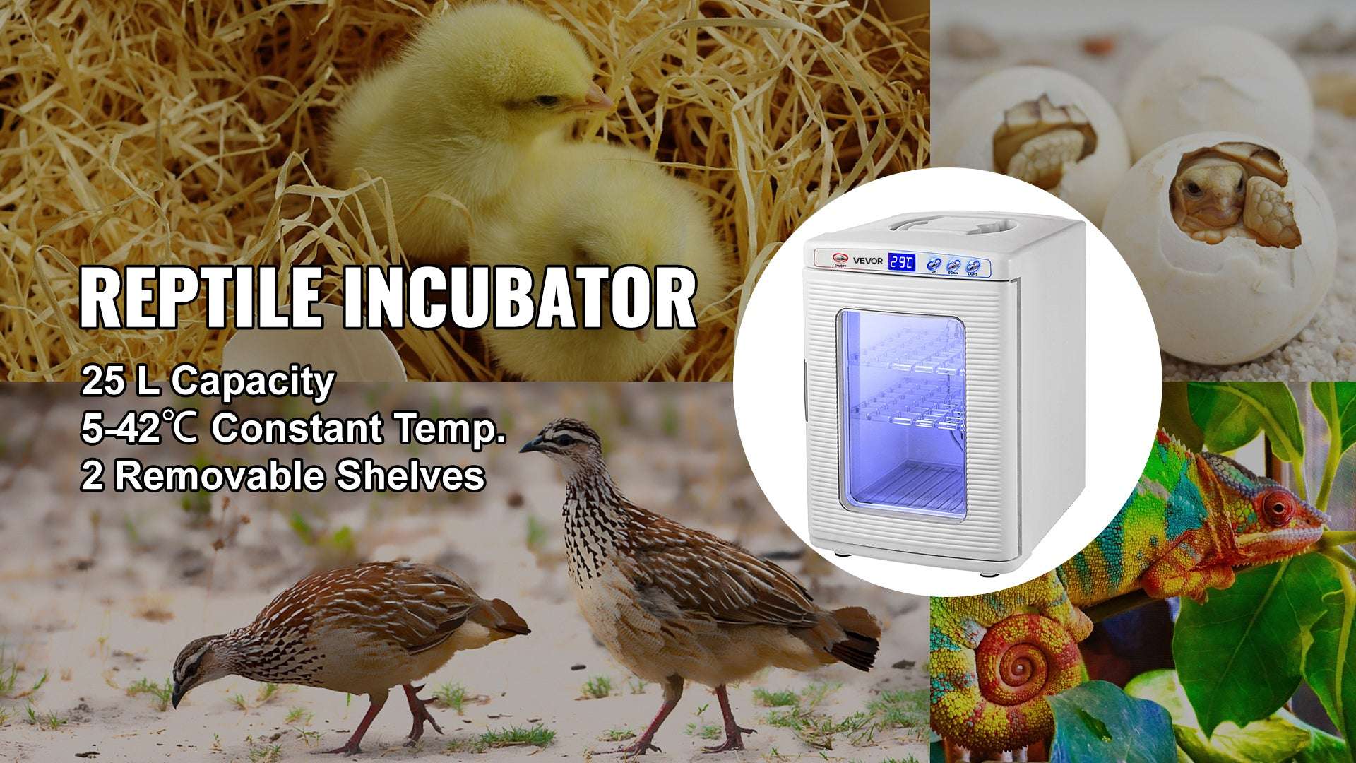 25L Reptile Egg Incubator with Temperature Control & LED Display-WHITE / United States