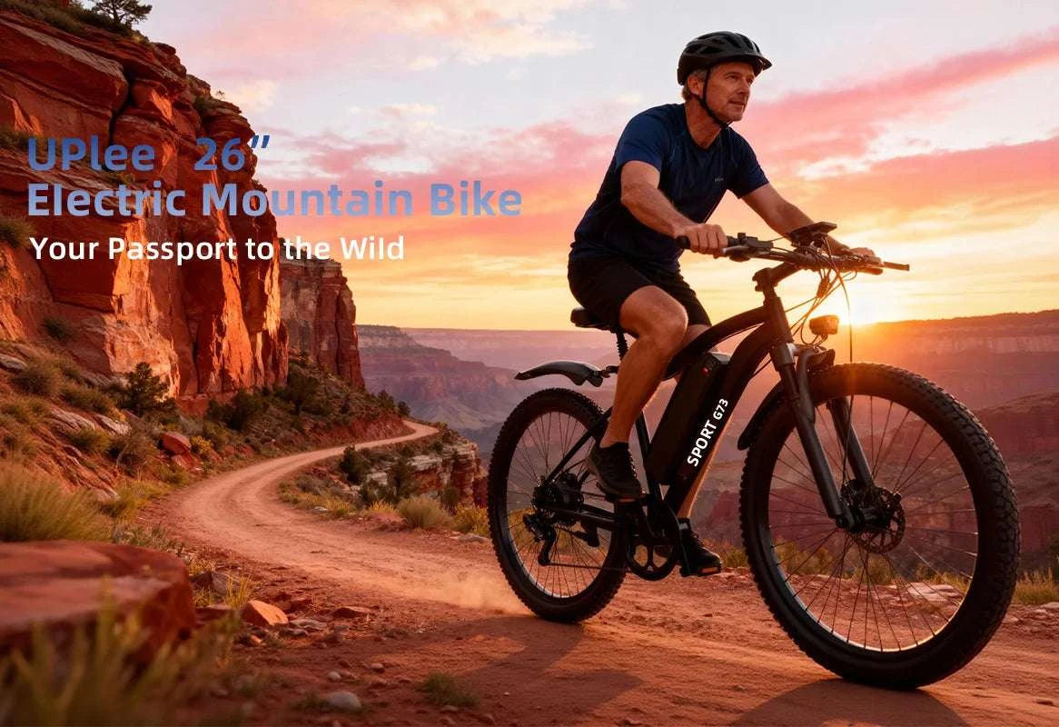 26" Electric Bike 48V 13Ah 7-Speed Commuter E-Bike-Black / 48V   10AH / United States