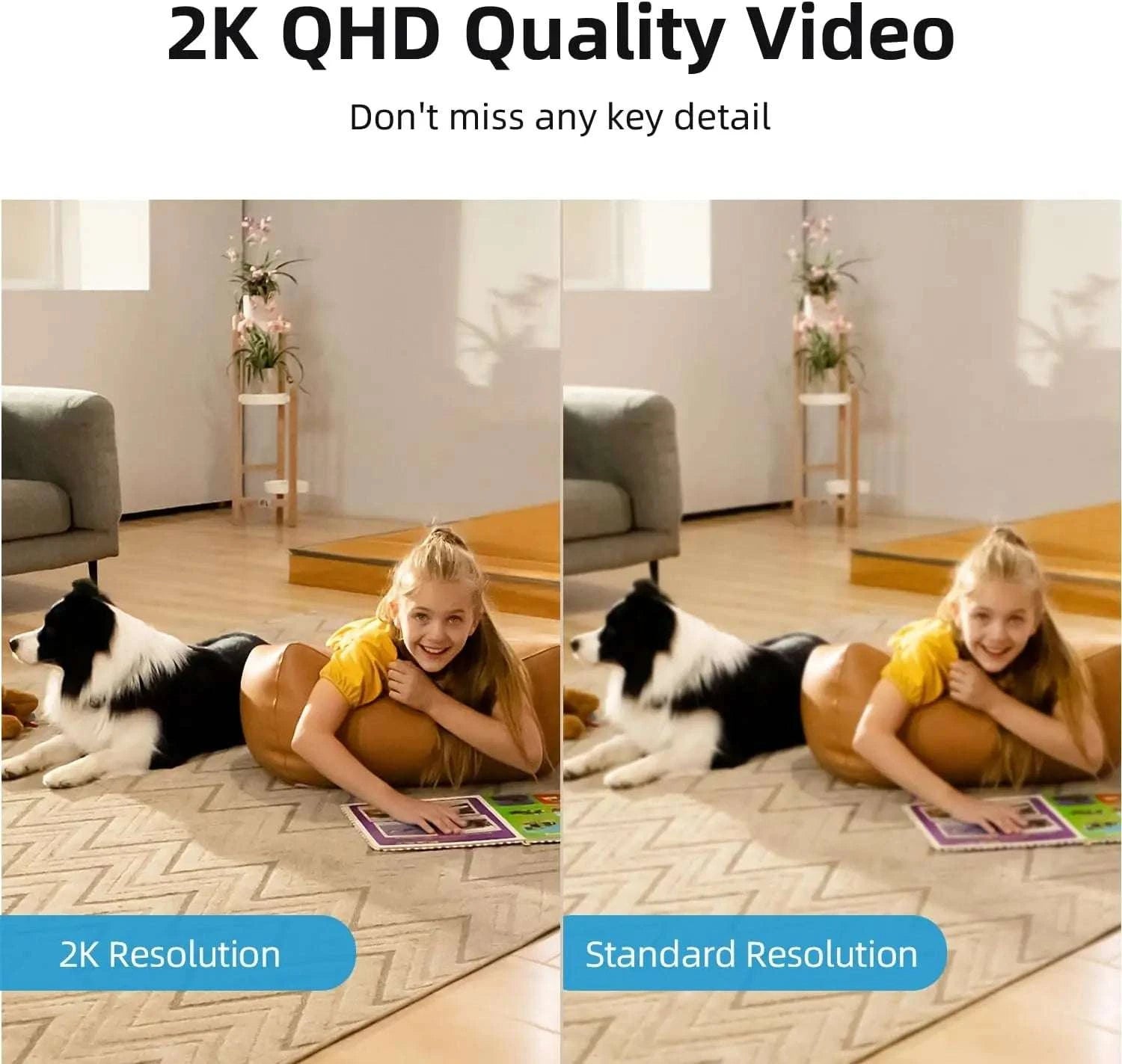 2K Indoor Security Camera 360° View Motion Tracking Alexa 2 Pack-United States