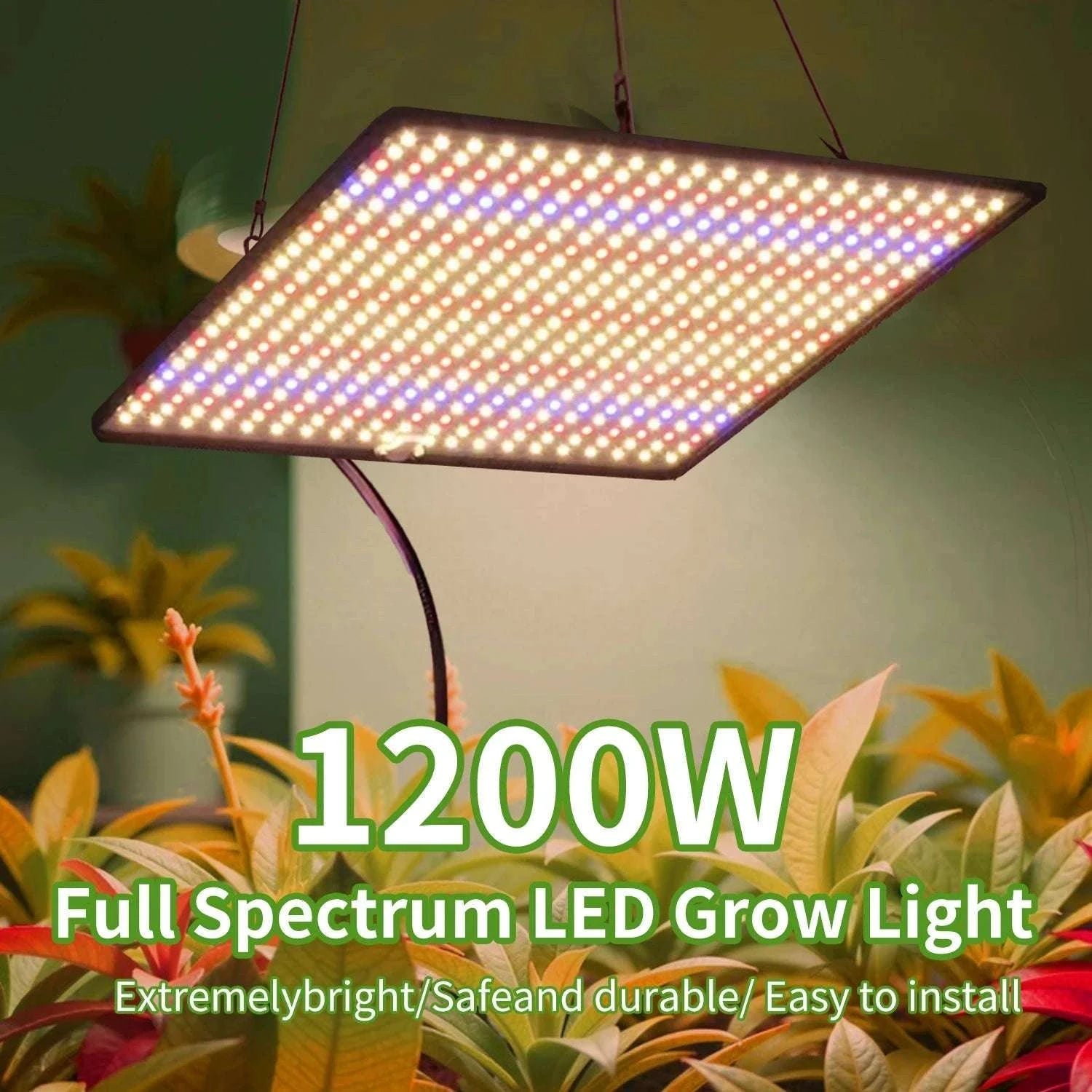 2PCS Full Spectrum LED Grow Lights 1200W Quantum Boards 1x1ft-2pcs / EU / 1200W|france