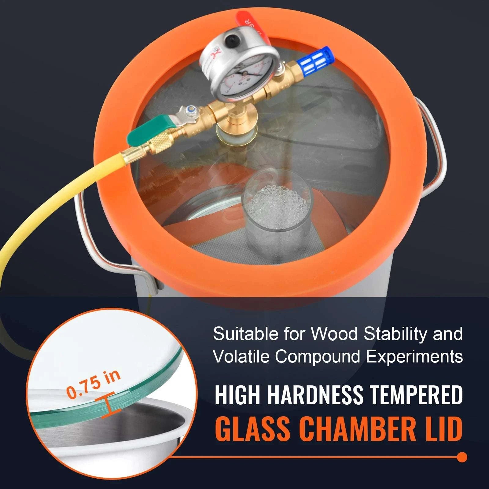 3 or 5 Gallon Vacuum Chamber for Resin, Wood & Silicone Degassing-3 Gallon / United States