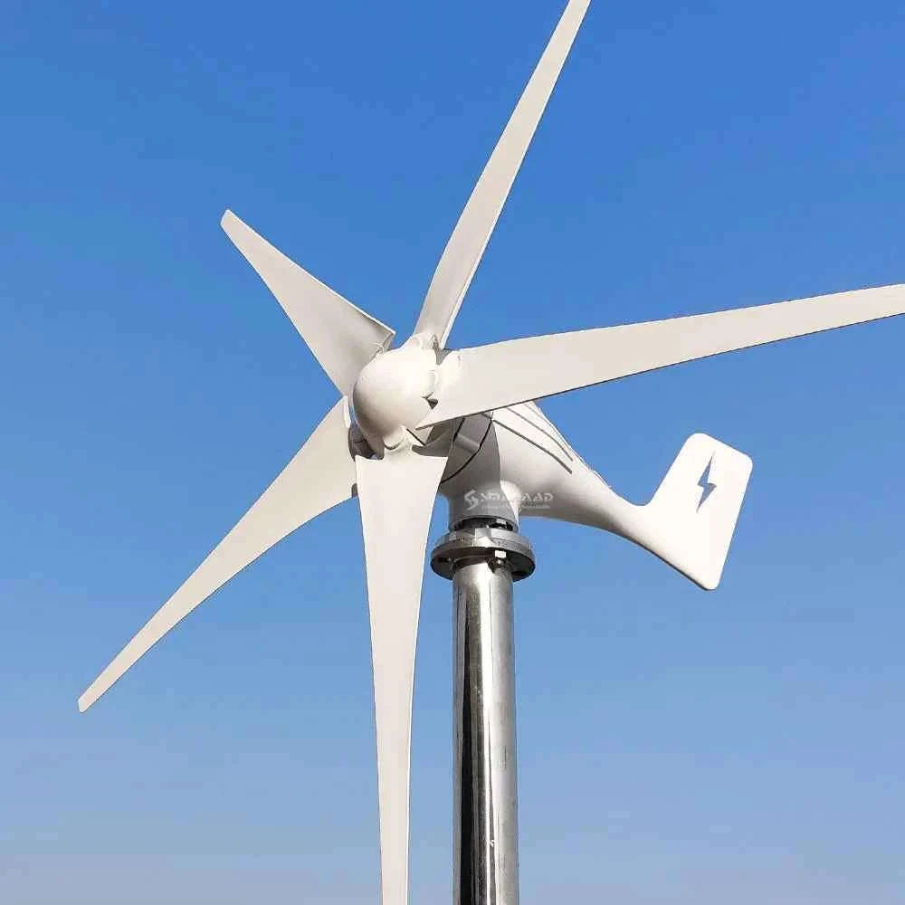 3000W Wind Turbine Generator with MPPT Controller for Off-Grid Home System-Free MPPT Controller / 3000W / China Mainland|12V