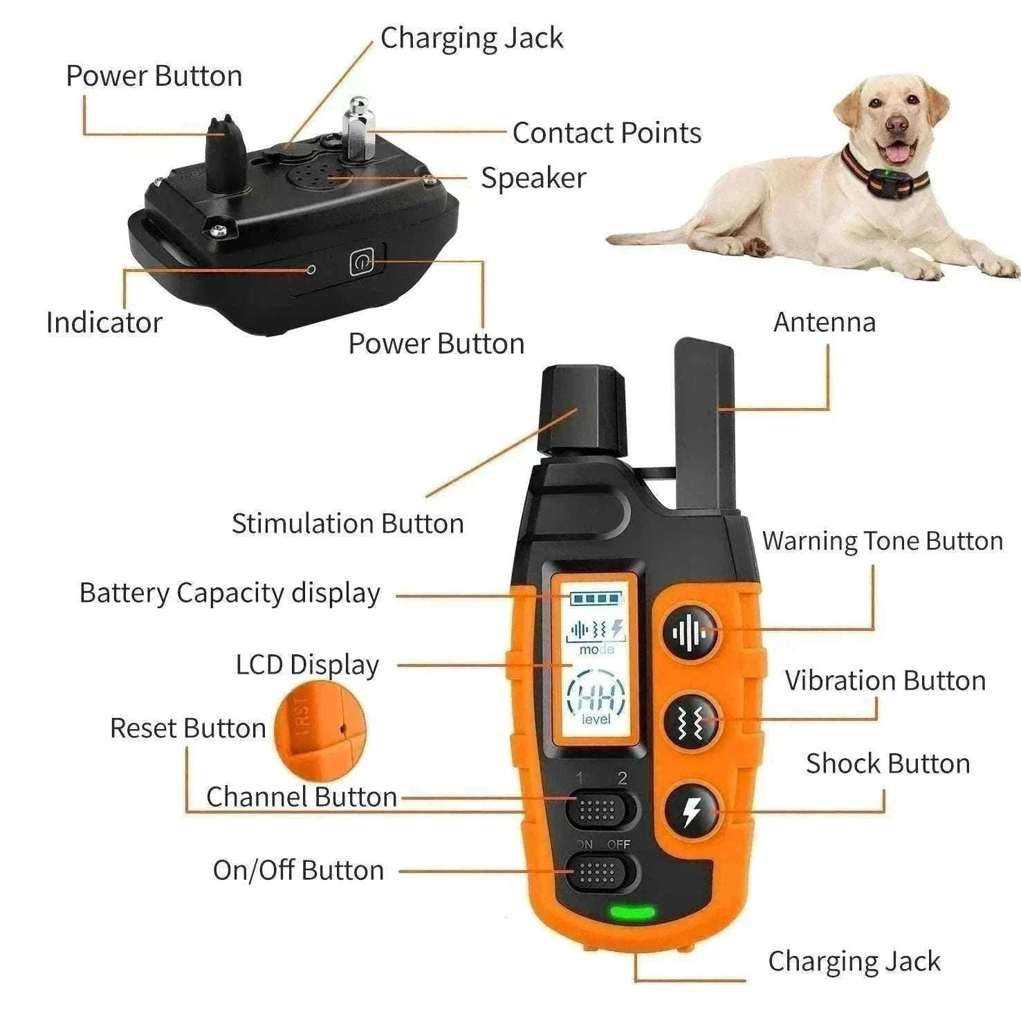3300ft Remote Dog Training Collar Waterproof with Vibration, Beep & Shock-For 2 Dogs